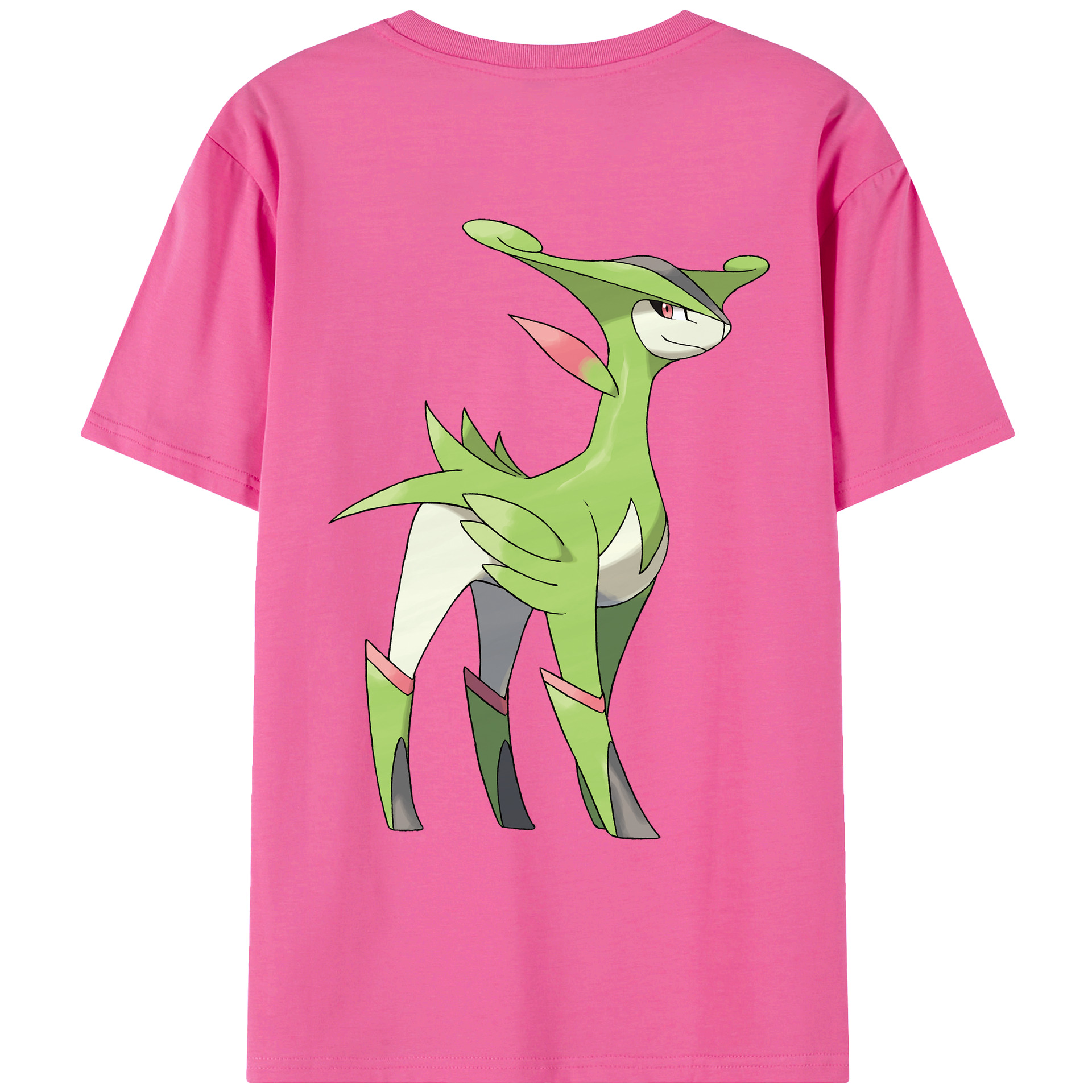 （画像用） ポケットモンスター Pokémon レディース半袖Tシャツ(バックプリント)